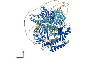AlphaFold protein structure predicition of Mouse Recombinant Ifih1 Protein, UniprotID Q8R5F7