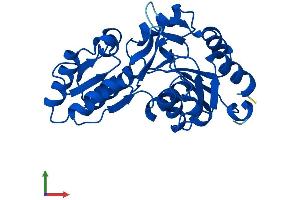 AlphaFold protein structure predicition of Human Recombinant LHPP Protein, UniprotID Q9H008