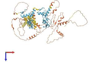 AlphaFold protein structure predicition of Human Recombinant ZBTB24 Protein, UniprotID O43167