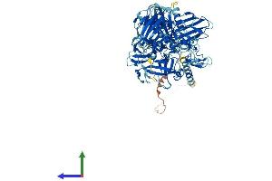 AlphaFold protein structure predicition of Human Recombinant TMPRSS6 Protein, UniprotID Q8IU80
