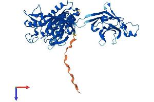 AlphaFold protein structure predicition of Human Recombinant CPNE2 Protein, UniprotID Q96FN4