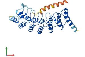 AlphaFold protein structure predicition of Human Recombinant ANKRD19P Protein, UniprotID Q9H560