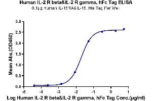 ELISA image for IL-2 R beta & IL-2 R gamma (AA 27-240) protein (Fc Tag) (ABIN7275026)