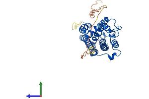 AlphaFold protein structure predicition of Human Recombinant HMOX1 Protein, UniprotID P09601