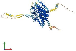 AlphaFold protein structure predicition of Mouse Recombinant Slc1a6 Protein, UniprotID O35544