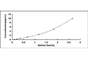 Typical standard curve (RUNX2 Kit ELISA)