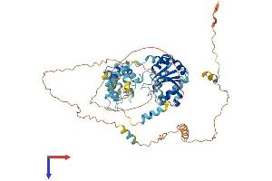 AlphaFold protein structure predicition of Human Recombinant ORC2 Protein, UniprotID Q13416