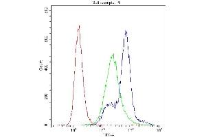 Flow Cytometry analysis of K562 cells using anti-PKC-eta antibody (ABIN3043361). (PKC eta anticorps  (AA 30-389))