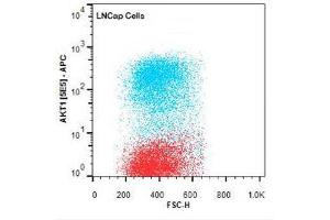 Flow Cytometry of Mouse anti-AKT1 antibody.