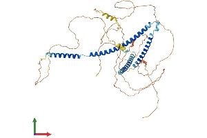 AlphaFold protein structure predicition of Mouse Recombinant Nup58 Protein, UniprotID Q8R332