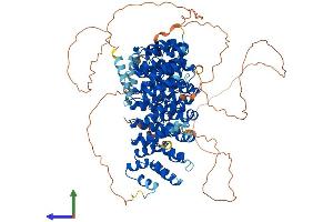 AlphaFold protein structure predicition of Mouse Recombinant Ppp4r1 Protein, UniprotID Q8K2V1