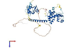 AlphaFold protein structure predicition of Mouse Recombinant Mcrs1 Protein, UniprotID Q99L90