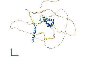 AlphaFold protein structure predicition of Human Recombinant TGIF1 Protein, UniprotID Q15583