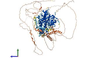 AlphaFold protein structure predicition of Human Recombinant LIPE Protein, UniprotID Q05469