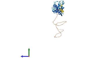 AlphaFold protein structure predicition of Human Recombinant PRPF38A Protein, UniprotID Q8NAV1