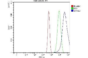 Flow Cytometry analysis of U87 cells using anti-Nesprin 2/SYNE2 antibody (ABIN7601532).