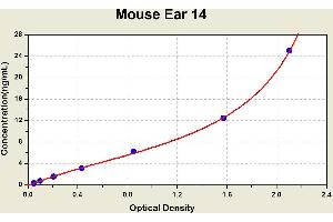 Diagramm of the ELISA kit to detect Mouse Ear 14with the optical density on the x-axis and the concentration on the y-axis. (EAR14 Kit ELISA)