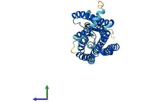 AlphaFold protein structure predicition of Human Recombinant OR2J2 Protein, UniprotID O76002