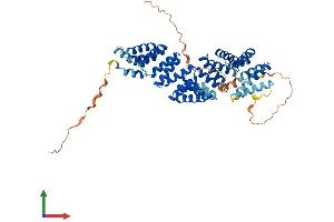 AlphaFold protein structure predicition of Mouse Recombinant Bbs4 Protein, UniprotID Q8C1Z7
