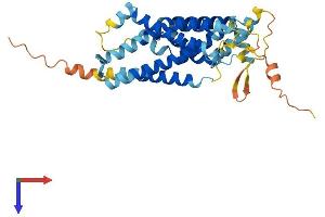 AlphaFold protein structure predicition of Mouse Recombinant Gpr160 Protein, UniprotID Q3U3F9