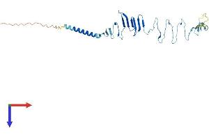 AlphaFold protein structure predicition of Human Recombinant SGCD Protein, UniprotID Q92629
