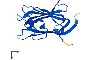 AlphaFold protein structure predicition of Mouse Recombinant Ift25 Protein, UniprotID Q9D6H2