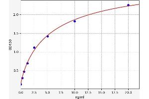 Typical standard curve (Transgelin 3 Kit ELISA)