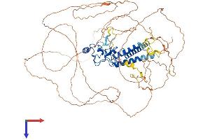 AlphaFold protein structure predicition of Human Recombinant LIN54 Protein, UniprotID Q6MZP7