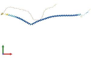 AlphaFold protein structure predicition of Human Recombinant ARGLU1 Protein, UniprotID Q9NWB6
