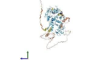 AlphaFold protein structure predicition of Human Recombinant ZNF549 Protein, UniprotID Q6P9A3