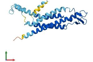AlphaFold protein structure predicition of Mouse Recombinant Gjb2 Protein, UniprotID Q00977