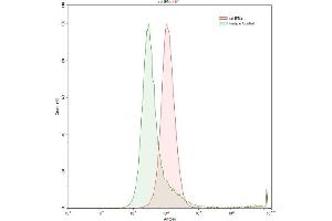 Detection of IFNa in Raji human Burkitt's lymphoma cell line using Polyclonal Antibody to Interferon Alpha (IFNa)