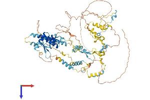 AlphaFold protein structure predicition of Mouse Recombinant Ncaph Protein, UniprotID Q8C156