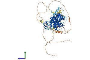 AlphaFold protein structure predicition of Human Recombinant RAF1 Protein, UniprotID P04049