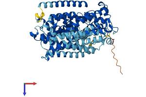 AlphaFold protein structure predicition of Mouse Recombinant Slc5a10 Protein, UniprotID Q5SWY8