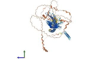 AlphaFold protein structure predicition of Human Recombinant JPH4 Protein, UniprotID Q96JJ6