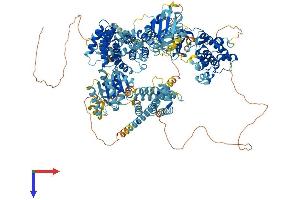 AlphaFold protein structure predicition of Human Recombinant MAP3K15 Protein, UniprotID Q6ZN16