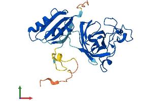 AlphaFold protein structure predicition of Mouse Recombinant Ccs Protein, UniprotID Q9WU84