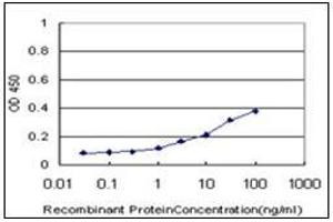 ELISA image for anti-Phosphatidylinositol-5-Phosphate 4-Kinase, Type II, alpha (PIP4K2A) (AA 304-366) antibody (ABIN782432)
