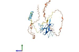 AlphaFold protein structure predicition of Human Recombinant ZAR1L Protein, UniprotID A6NP61