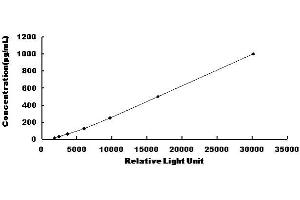 Typical standard curve (FLT3LG Kit CLIA)