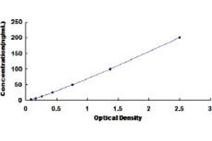 Typical standard curve (Adiponectin Receptor 1 Kit ELISA)