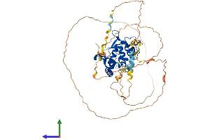 AlphaFold protein structure predicition of Human Recombinant NFIA Protein, UniprotID Q12857