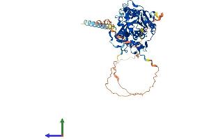 AlphaFold protein structure predicition of Mouse Recombinant Mgat3 Protein, UniprotID Q10470