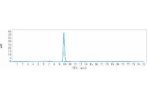 The purity of Anti-LINGO1 Reference Antibody (opicinumab) is 99. (Recombinant LINGO1 (Opicinumab Biosimilar) anticorps)