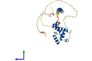 AlphaFold protein structure predicition of Mouse Recombinant Ccdc106 Protein, UniprotID Q3ULM0