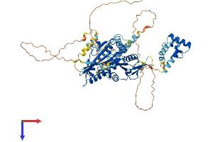 AlphaFold protein structure predicition of Mouse Recombinant Kif22 Protein, UniprotID Q3V300