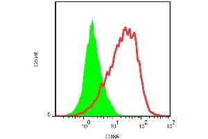 Surface staining of PHA-activated murine splenocytes with anti-CD86 (GL-1) FITC. (CD86 anticorps  (FITC))