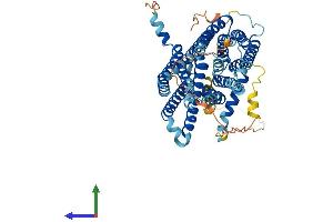AlphaFold protein structure predicition of Mouse Recombinant Slc40a1 Protein, UniprotID Q9JHI9