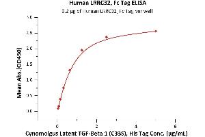 Immobilized Human LRRC32, Fc Tag (ABIN5674638,ABIN6809961) at 2 μg/mL (100 μL/well) can bind Cynomolgus Latent  1 (C33S), His Tag (ABIN6973142) with a linear range of 0. (LRRC32 Protein (AA 20-627) (Fc Tag))